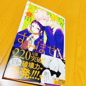 うちの弟どもがすみません、11巻