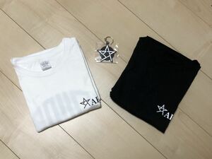 新品　Apollogic アポロジック Tシャツ　Lサイズ2枚、キーホルダー