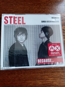 STEEL / BECAUSE...NESMITH＆SHUJIKASHIWABARA/FLCF-3867新品未開封送料込み