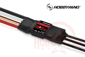 年始セール 新品 2023年新製品 HOBBYWING SkyWalker ブラシレスESC 100A-V2 3-6S BEC5V/7A ブラシレス ESC アンプ