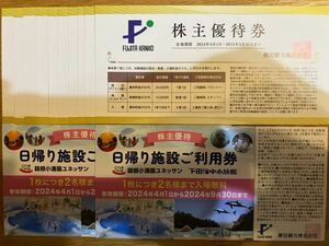 藤田観光 株主優待券 1セット（株主優待券10枚+日帰り施設ご利用券2枚セット）