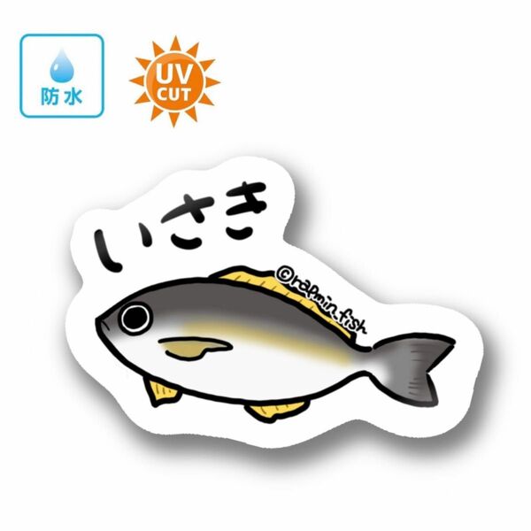 080 イサキ【防水&UVカット】釣り好きステッカー☆