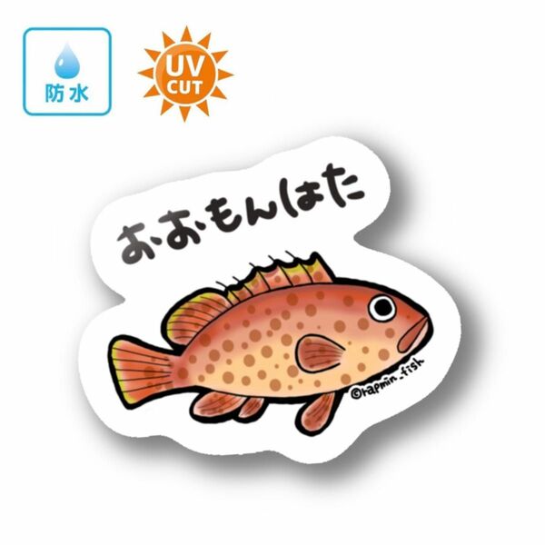 047 オオモンハタ【防水&UVカット】釣り好きステッカー☆