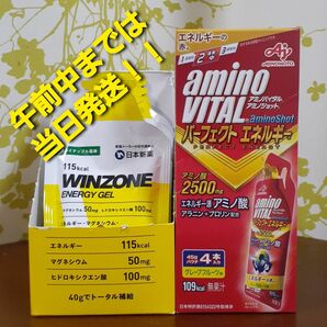 ●味の素 アミノバイタル アミノショット パーフェクト エネルギー ●日本新薬 WINZONE ENERGY GEL
