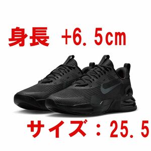 AIRMAX ALPHA TRAINER（エアマックス　アルファ　トレーナー）黒色（25.5）