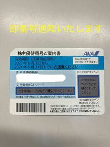 ANA Акционера оценка всех услуг Nippon до 31 мая 2024 г. Только 1 лист
