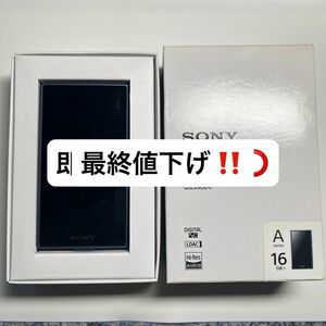 SONY WALKMAN Aシリーズ NW-A105 （L）ブルー