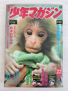 KK82-004　週刊少年マガジン22号　1972.5.21　石森章太郎/ちばてつや/松本零士他　講談社　※焼け・汚れ・表紙キズ・剥がれあり