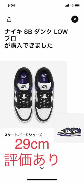 Nike SB Dunk Low Pro Court Purple 29cm