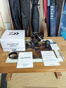 ☆☆22カルディアSW 8000H CALDIA☆☆ ダイワ DAIWA 青物 ヒラマサ ブリ ジギング キャスティング