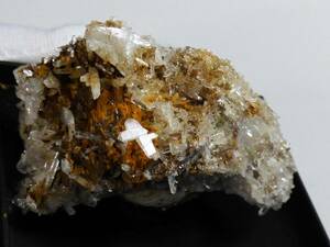 国産鉱物　相島鉱山の日本式双晶クラスター　(珍産地）