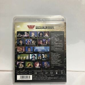 Blu-ray Animelo Summer Live 2010 -evolution- 8.28 アニメロサマーライブの画像2