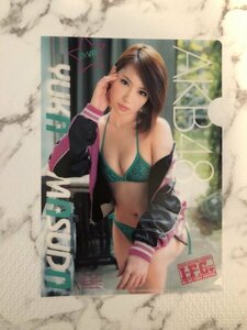 【新品】 ヤングチャンピオン 烈 増刊 2012年 増田有華 クリアファイル 付録