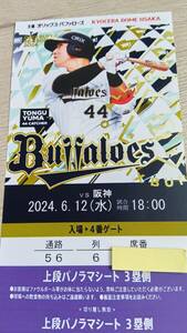 6月12日　6/12　オリックス対阪神　上段パノラマシート　1枚価格　京セラドーム大阪