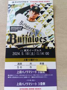 5 month 18 day 5/18 Orix against Rakuten on step panorama seat Osaka Dome 