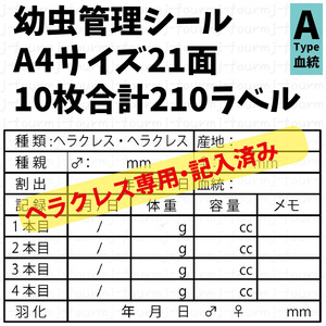 幼虫管理ラベルAシール 21面×10シート 合計210枚 ヘラクレスオオカブト専用 ヘラクレス・ヘラクレス記入済み リッキー オキシ他変更可能