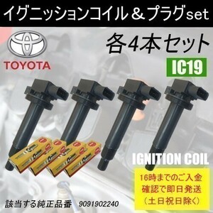 サクシード NCP58G NCP59G 平成14年6月～平成22年10月 イグニッションコイル 90919-02240 NGKスパークプラグ BKR5EYA11 各4本 IC19-ng18