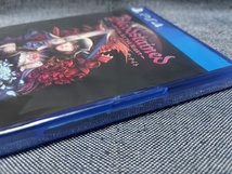 PS4☆Bloodstained: Ritual of the Night ブラッドステインド☆難有・新品・未開封品・即決有_画像6