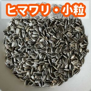 ひまわりの種（鳥の餌、小動物の餌）小粒 400ｇ