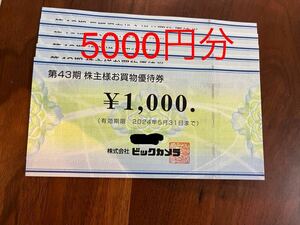 ビックカメラ 5000円分