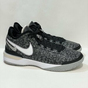 28.5cm NIKE ZOOM LEBRON NXXT GEN EP DR8788-005 Nike Revlon next zenEP gray men's sneakers XB 107102