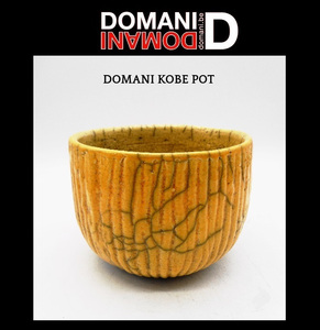 ＜DOMANI Collection＞廃盤ドマーニ鉢＿Domani Kobe yellow＿ドマーニ・コーベポット・ロータイプ＿多肉植物やサボテン向き
