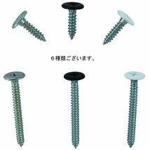 ダイドーハント (DAIDOHANT) (補強金物) 1x4専用ビス 3ｘ12 1x4専用ビス [ 頭黒 ] (呼び径) 3mm x (長さ) 12_画像2