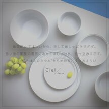 aito製作所 「 シエル Ciel 」 どんぶり鉢 ボウル 皿 丼 ラーメン鉢 直径約17×深さ9.4cm ライトグレー 美濃焼 食洗機 レンジ対_画像7