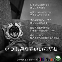 bibi Nyan 爪切り不要の爪とぎボード 猫 日本製 両面使用可 ヤスリ ストレス解消 ダンボール 負担軽減 ねこ つめとぎ 爪研ぎ ネコ ビビ_画像8