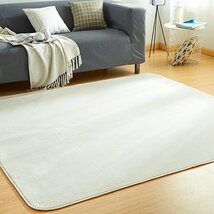 VK Living カーペット ラグ ラグマット 絨毯 200×250cm(約3畳) 洗える 滑り止め付 防ダニ 抗菌 防臭 1年中使えるタイプ 床_画像1