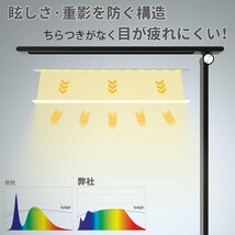 デスクライト LED 卓上ライト 電気スタンド 2023新型 目に優しい・無段階調光・5段階調色 超高輝度 Type-C USB給電 led スタン_画像3