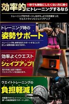 [ALL OUT POWER GRIP PRO] ALLOUT ウエストシェイパー シェイプアップベルト メンズ レディース 男女共用 (ブラック,_画像3