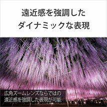 ソニー(SONY) 広角ズームレンズ フルサイズ Vario-Tessar T* FE 16-35mm F4 ZA OSS ツァイスレンズ デジタル_画像4