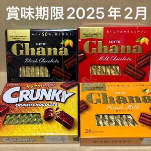 チョコレート ロッテ ガーナチョコレート 4箱 まとめ売り 匿名配送 値下げ不可 組み合わせ変更可