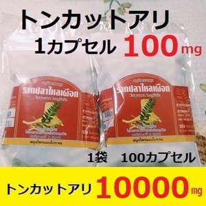 ★消費期限2025年7月　1袋100カプセル　トンカットアリ　１粒100mg　1袋10000㎎　マカより多い　粉末　筋トレ　ラントレ