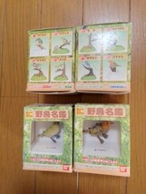 バンダイ BANDAI　野鳥名鑑　食玩　2002年当時物　希少価値　小鳥4種　ボタン電池で鳴く　未開封で未確認経年保管のため電池切れ？_画像7