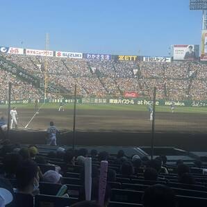 4月27日（ 土）１４：00～ 阪神ｖｓヤクルト  阪神甲子園 ペア グリーンシート 最前列の画像4