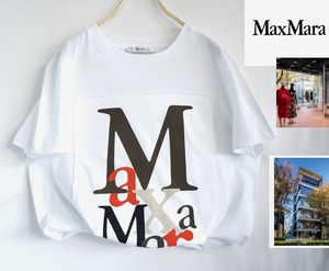 美品/MAXMARA/マックスマーラ/ロゴモチーフデザイン/スプリングサマー/T-shirs