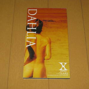 DAHLIA / TEARS '93 TOKYO DOME LIVE VERSION 8cmシングルCD X JAPAN AMDM-6150 Yoshiki Toshi の画像1