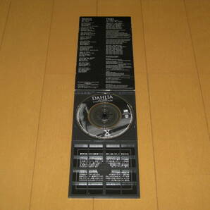 DAHLIA / TEARS '93 TOKYO DOME LIVE VERSION 8cmシングルCD X JAPAN AMDM-6150 Yoshiki Toshi の画像3
