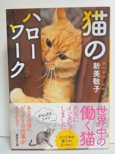 新美敬子　猫のハローワーク