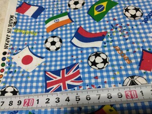 ☆サッカー・国旗・チェック・ブルー・１１２×５０センチ☆