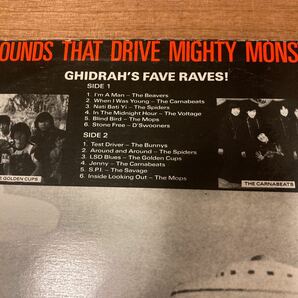 VA / Monster A Go-Go 1990年 Planet X LP 01 外国人のGSコンピ！ゴールデン・カップス モップス スパイダース カルトGS カラーヴァイナルの画像3