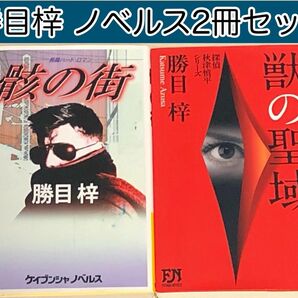 【小説】 骸の街 、 獣の聖域　勝目 梓 / 著 ノベルス2冊セット