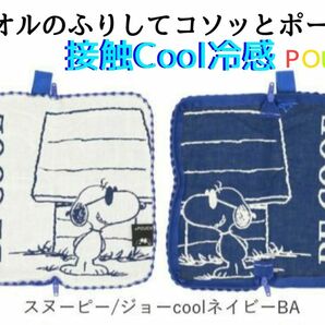 タオルのふりしてこそっとポーチ スヌーピー タオルポーチ 接触冷感 新品未使用 SNOOPY　ミニタオル