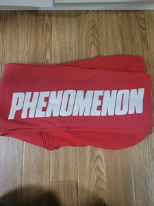 PHENOMENON SWAGGER マフラー フードマフラー パーカースウェット