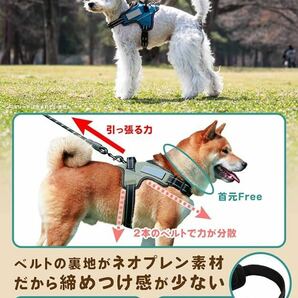 新品 【ドッグトレーナーも推薦！】Liberte harness 犬 ハーネス 喉に優しい ネームプレート ドッグハーネス (Sサイズ, レッド) メッシュの画像4