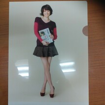 米倉涼子さん　クリアファイル２枚組_画像2