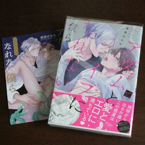 南国ばなな「アダムとイブになれない僕ら」コミコミスタジオリーフレット付き