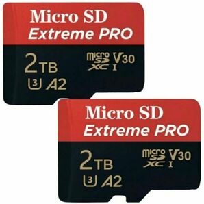 【2枚セット】 microSDカード マイクロSD microSD SDカード 2テラ 2TB